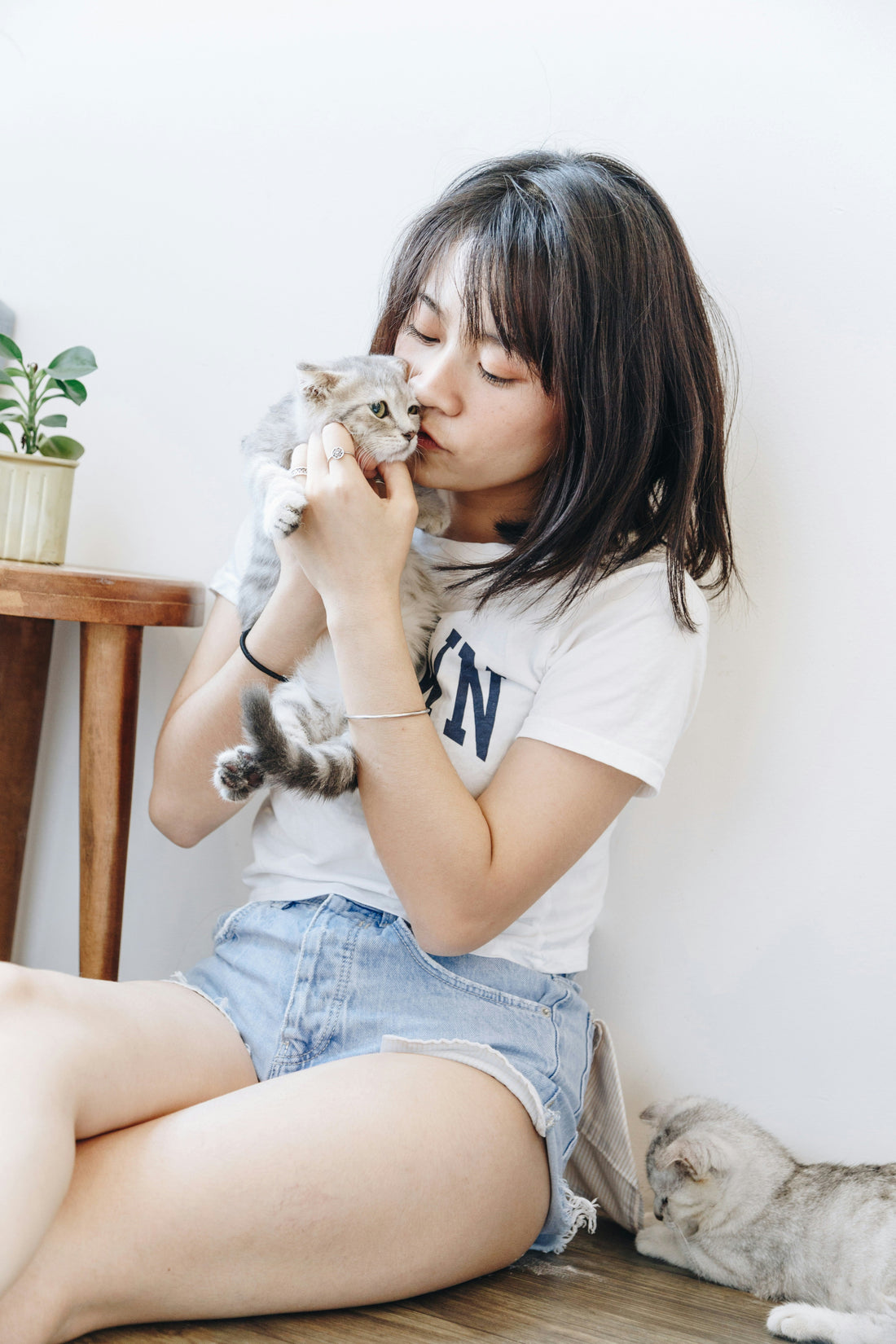 3 places to visit with your pet in Taiwan