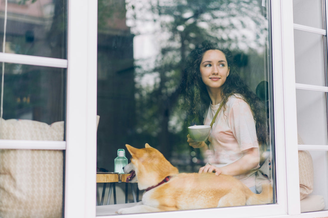Australia's best pet friendly cafes