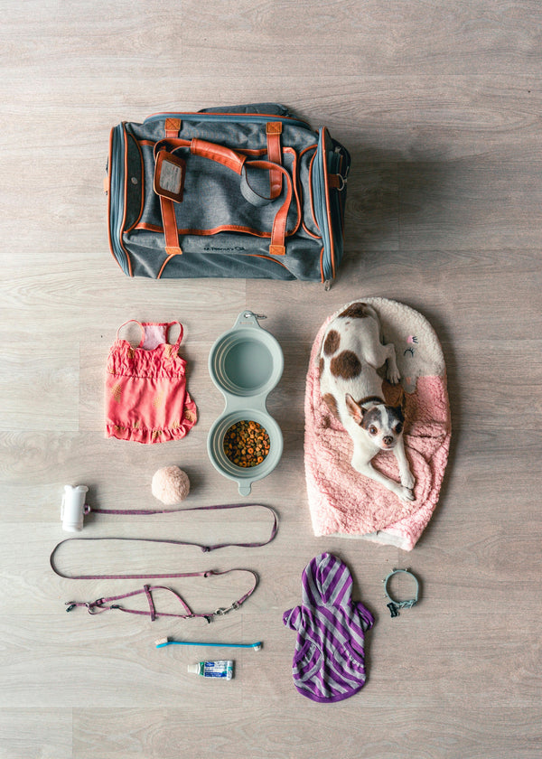 Everyday Accessories